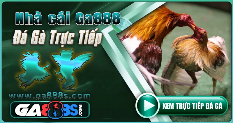 Ga888 - Nhà cái uy tín
