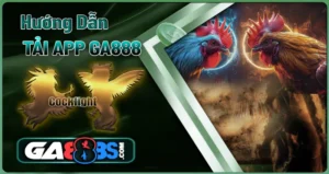 Hướng Dẫn Tải App Ga888